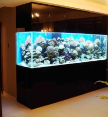 2.5 Meter Fish Tank With Fish And Accessories