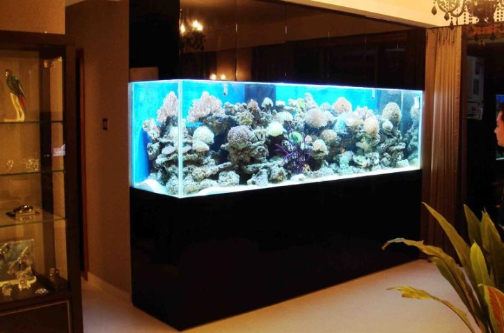 2.5 Meter Fish Tank With Fish And Accessories