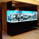 2.5 Meter Fish Tank With Fish And Accessories
