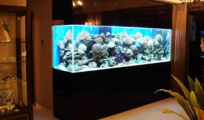 2.5 Meter Fish Tank With Fish And Accessories