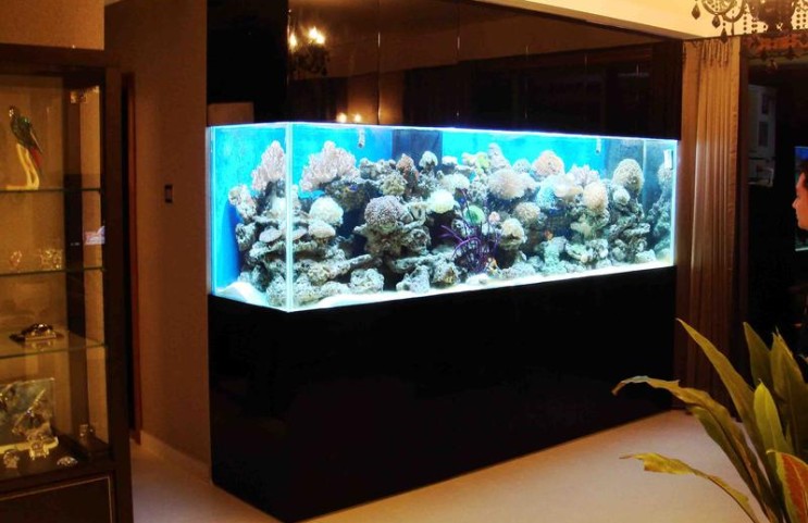 2.5 Meter Fish Tank With Fish And Accessories